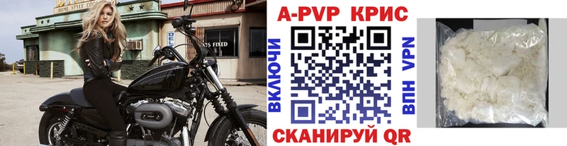 где можно купить наркотик  Каргополь  Альфа ПВП кристаллы 
