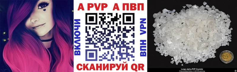 APVP СК Каргополь