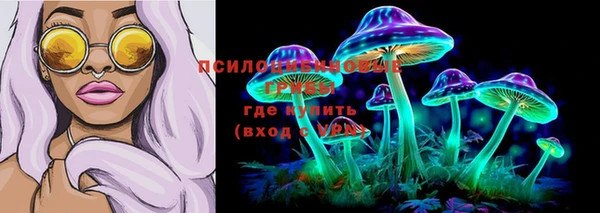 крисы Зеленодольск