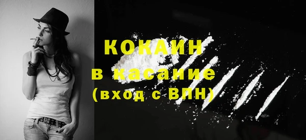 крисы Зеленодольск