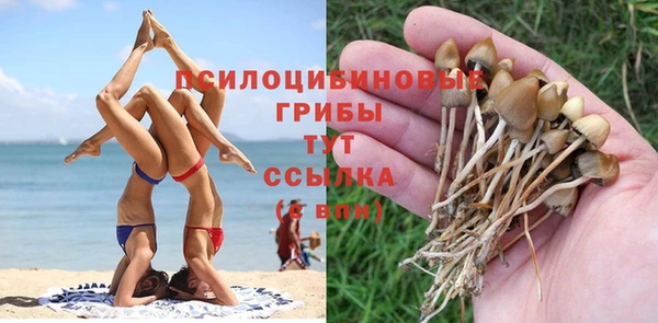 винт Иннополис