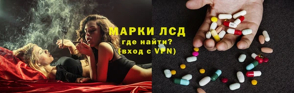 дживик Зерноград