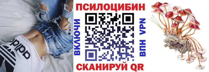 Галлюциногенные грибы мухоморы  что такое наркотик  Каргополь 